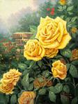  Yellow Roses in Garden